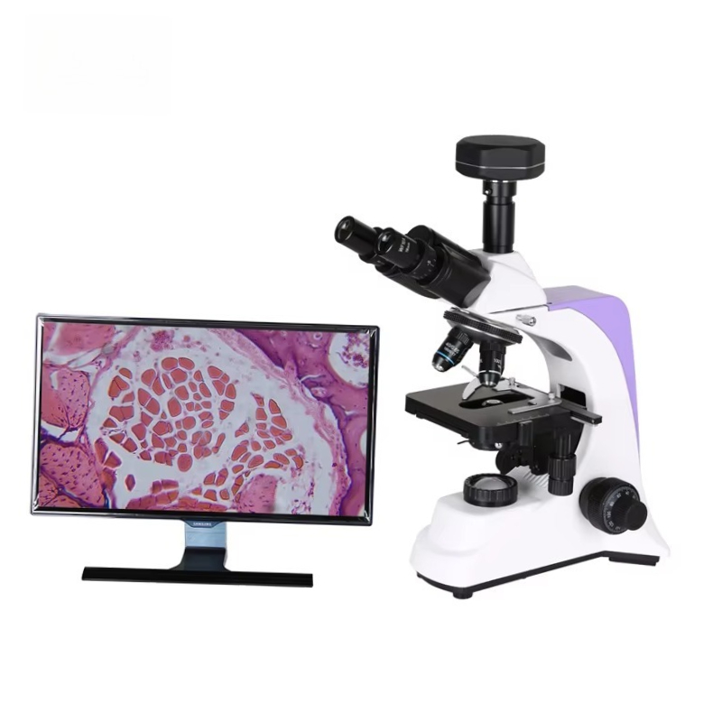 Medical Laboratory Scientist - Microscopio Biologico Digitale da Laboratorio Medico