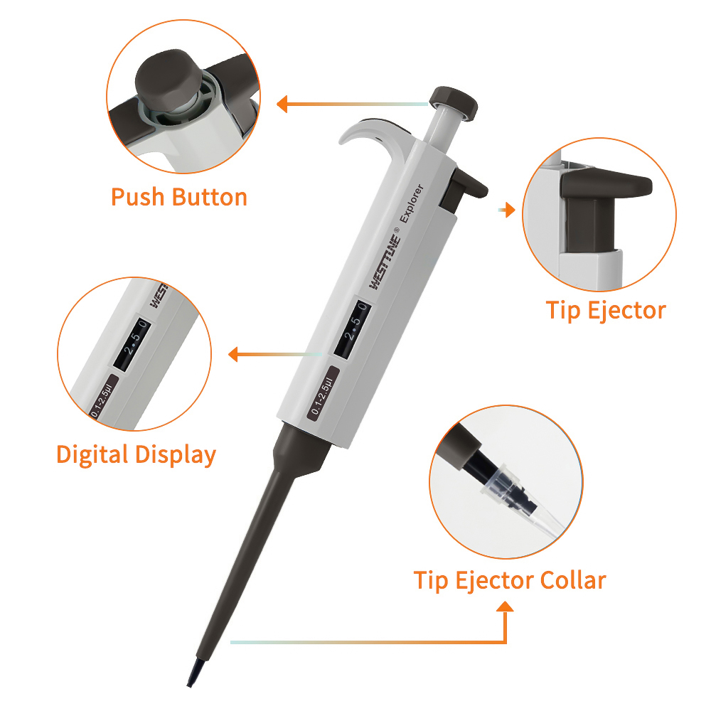 WESTTUNE Pipetta da laboratori - Medical Laboratory Scientist recensione e prezzo