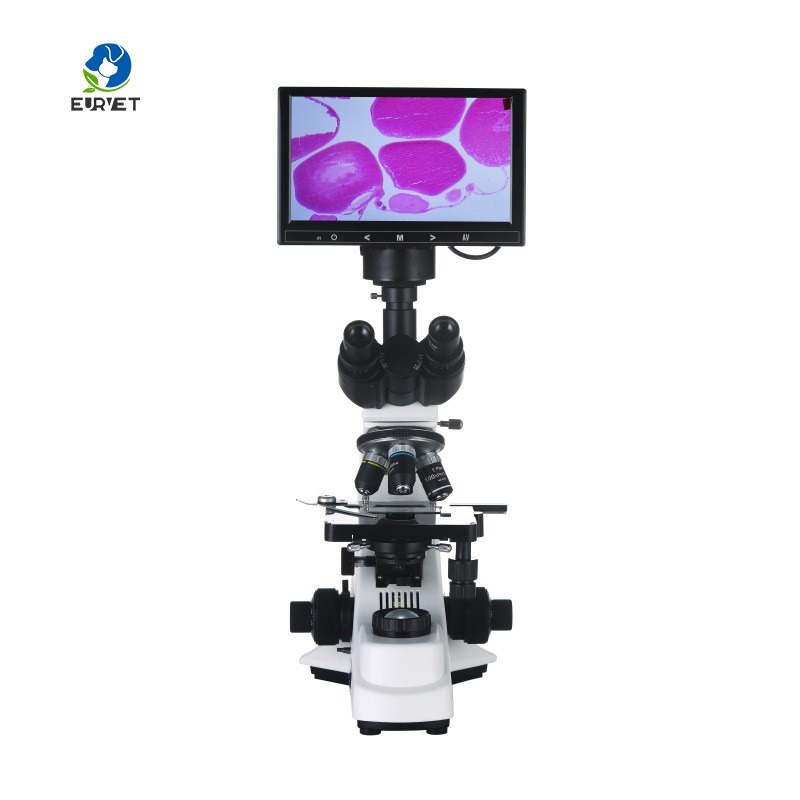 Microscopio Biologico Digitale - Medical Laboratory Scientist recensione e prezzo