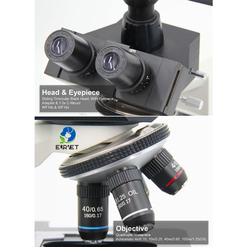 Microscopio Biologico Digitale - Medical Laboratory Scientist recensione e prezzo