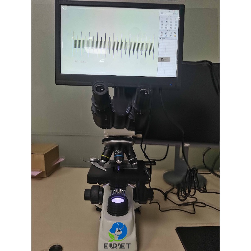 Microscopio Biologico Digitale - Medical Laboratory Scientist recensione e prezzo